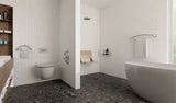 Healthcraft PLUS Toilet Paper Holder + Grab Bar