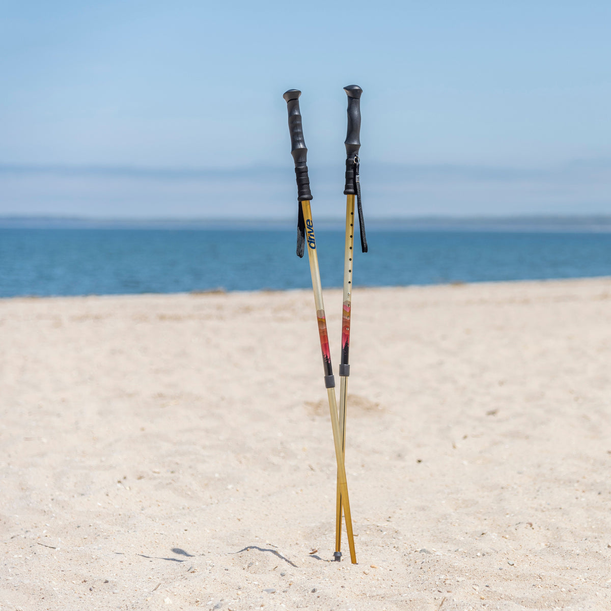 Summit Walking Poles — RTL10330MN