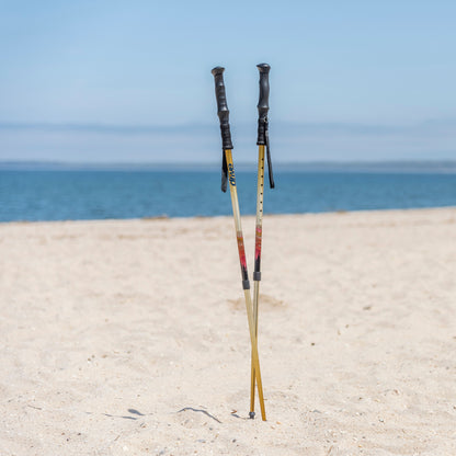 Summit Walking Poles — RTL10330MN