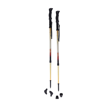 Summit Walking Poles — RTL10330MN