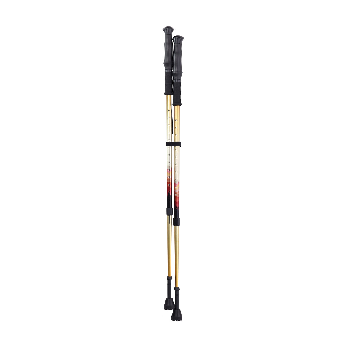 Summit Walking Poles — RTL10330MN