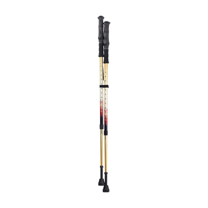 Summit Walking Poles — RTL10330MN