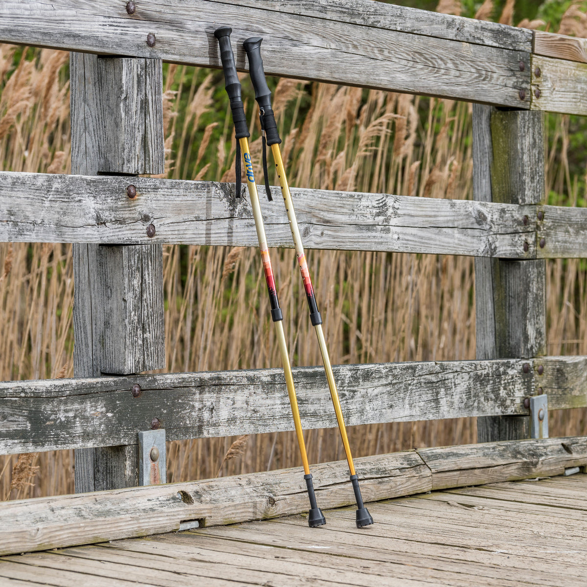 Summit Walking Poles — RTL10330MN