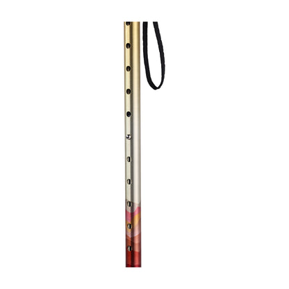 Summit Walking Poles — RTL10330MN