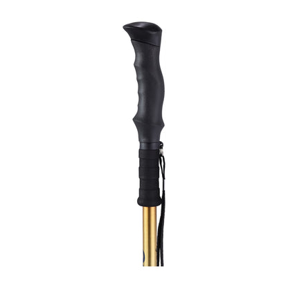 Summit Walking Poles — RTL10330MN