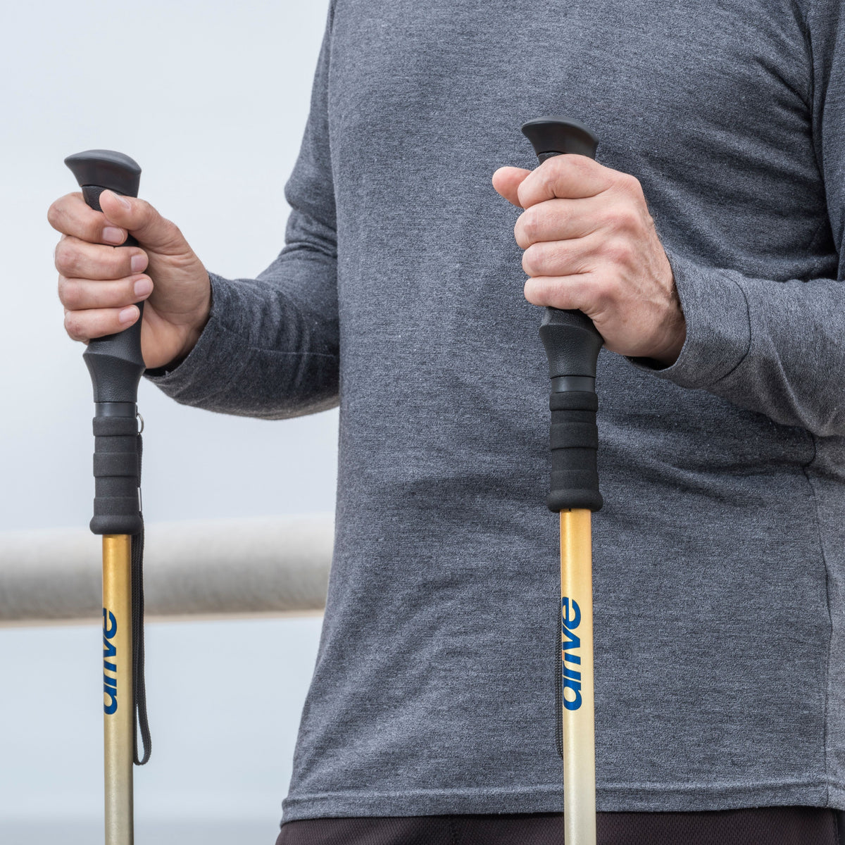 Summit Walking Poles — RTL10330MN