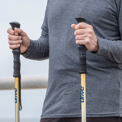 Summit Walking Poles — RTL10330MN