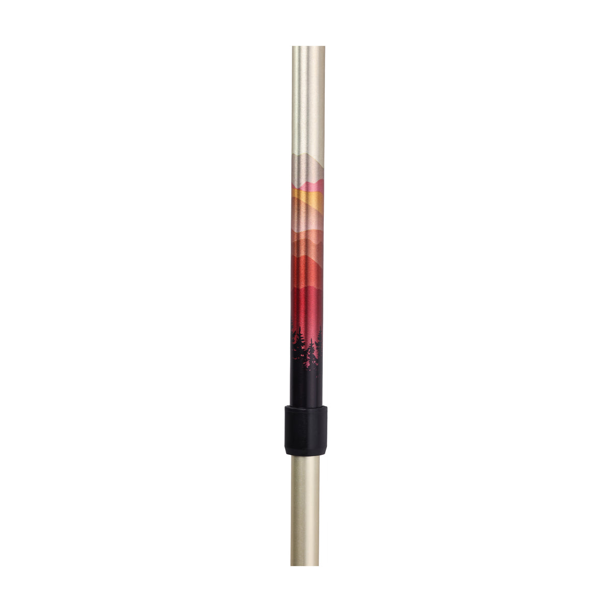 Summit Walking Poles — RTL10330MN