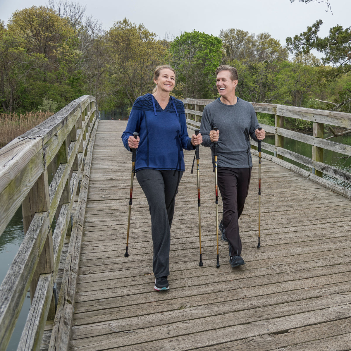 Summit Walking Poles — RTL10330MN