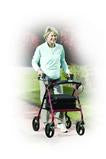 Aluminum Rollator Rolling Walker With Fold Up And Removable Back Support And Padded Seat, Red